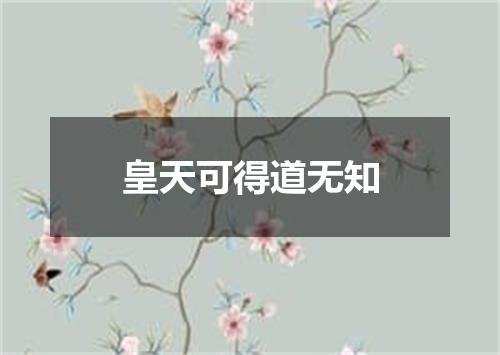 皇天可得道无知