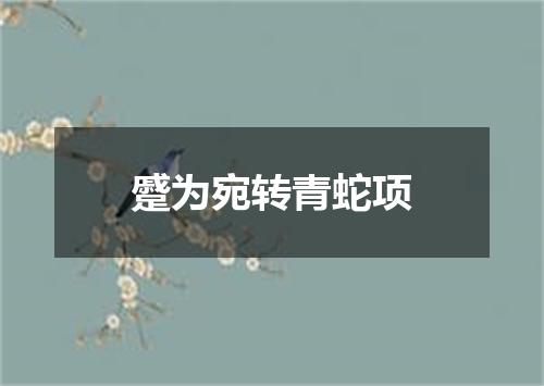 蹙为宛转青蛇项