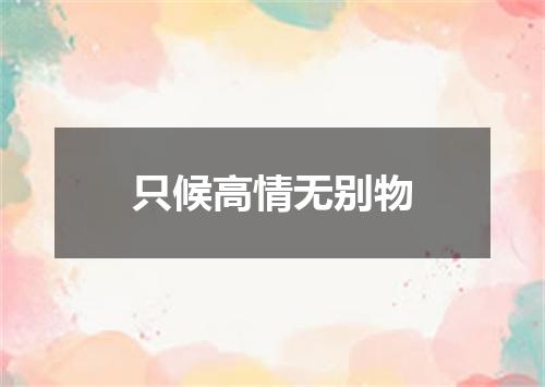 只候高情无别物