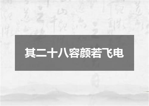 其二十八容颜若飞电