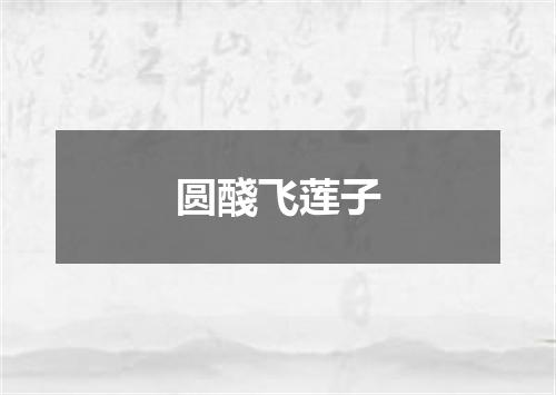 圆醆飞莲子