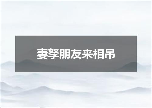 妻孥朋友来相吊