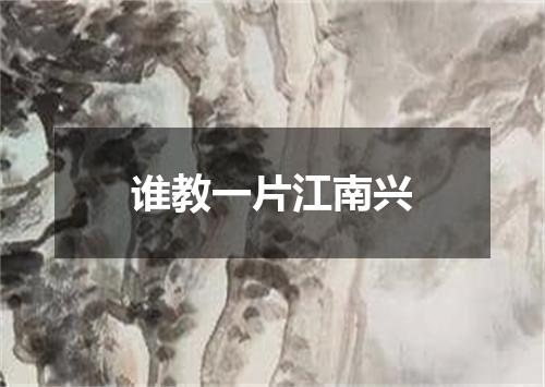 谁教一片江南兴