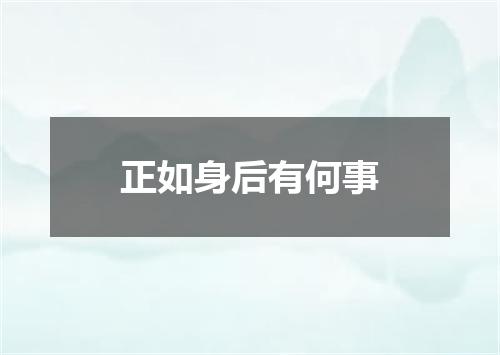 正如身后有何事