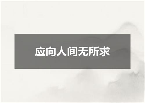 应向人间无所求