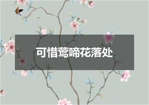 可惜莺啼花落处