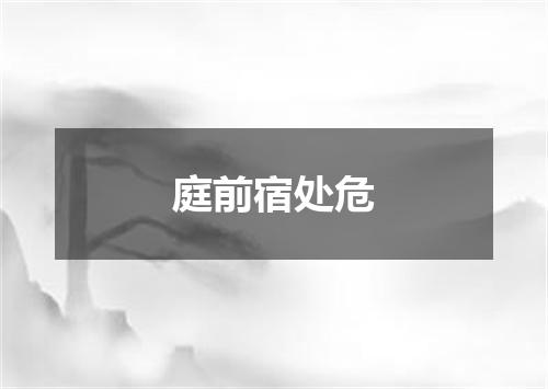 庭前宿处危