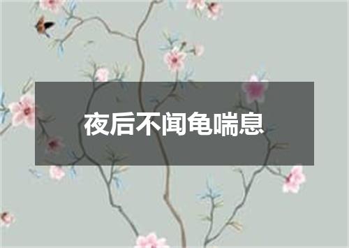 夜后不闻龟喘息