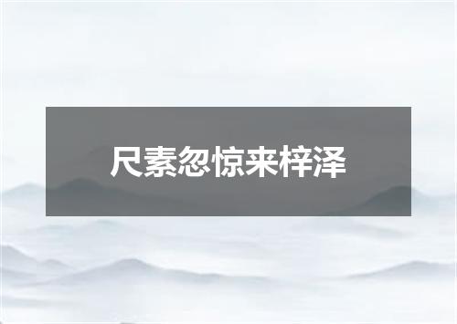 尺素忽惊来梓泽