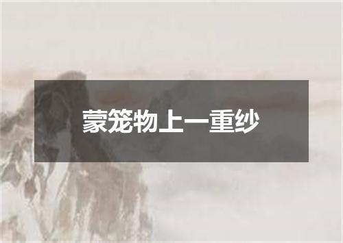 蒙笼物上一重纱