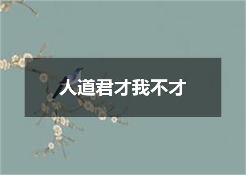 人道君才我不才