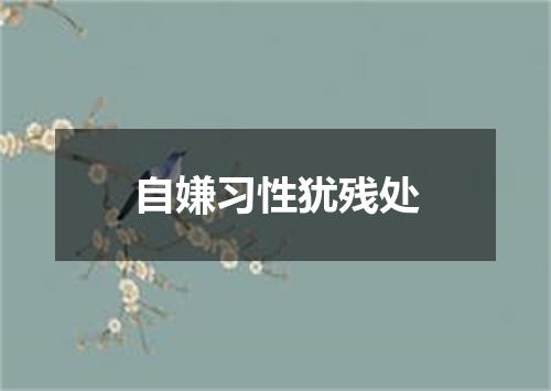 自嫌习性犹残处