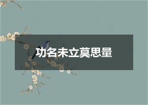 功名未立莫思量