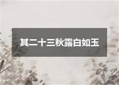 其二十三秋露白如玉