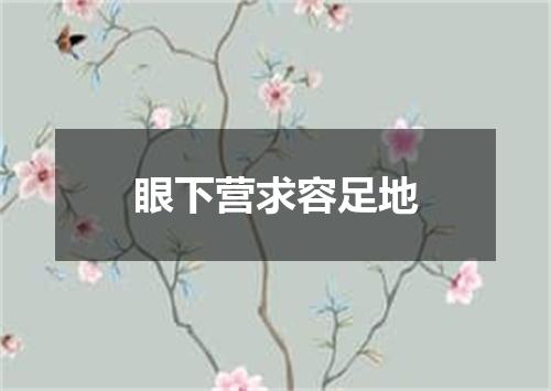 眼下营求容足地