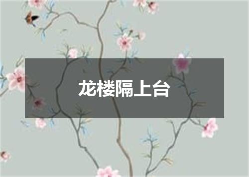龙楼隔上台