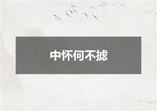 中怀何不摅