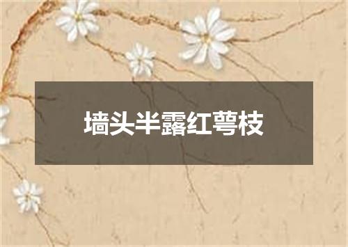 墙头半露红萼枝