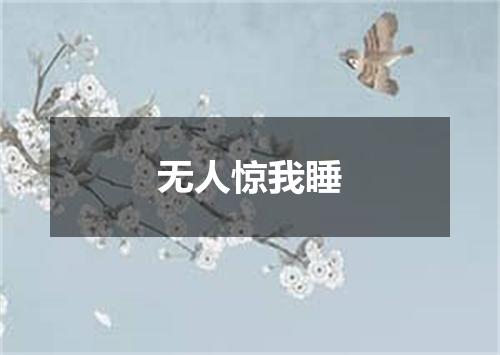 无人惊我睡