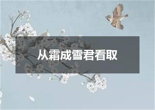 从霜成雪君看取