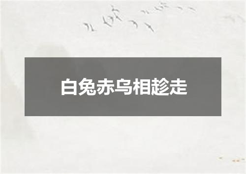 白兔赤乌相趁走