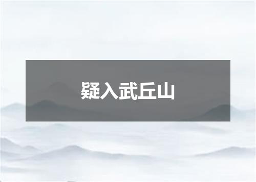 疑入武丘山