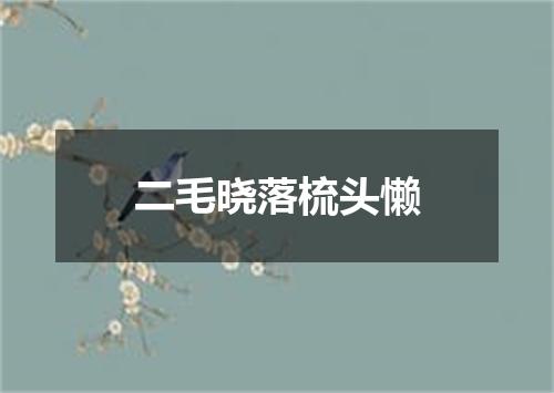 二毛晓落梳头懒