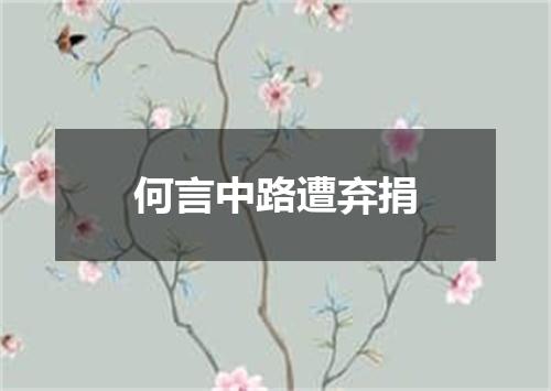 何言中路遭弃捐