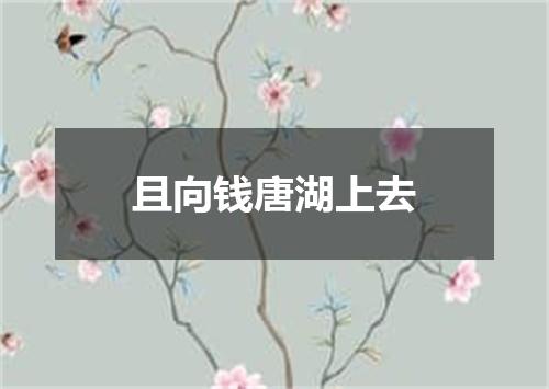 且向钱唐湖上去