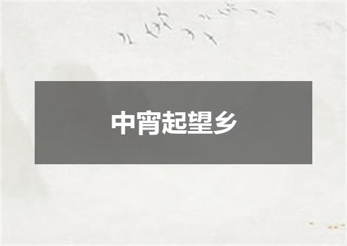中宵起望乡