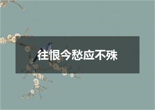 往恨今愁应不殊