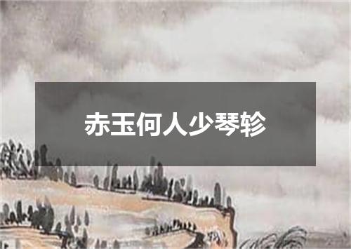 赤玉何人少琴轸
