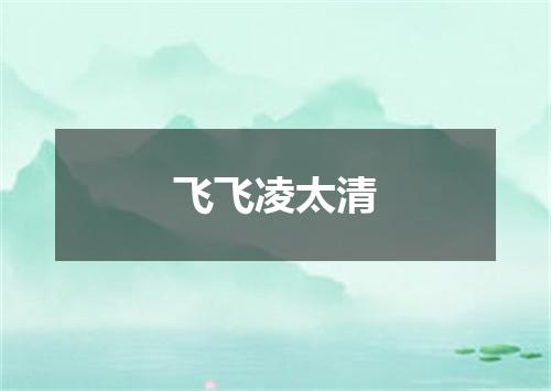 飞飞凌太清