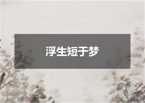 浮生短于梦