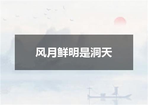 风月鲜明是洞天
