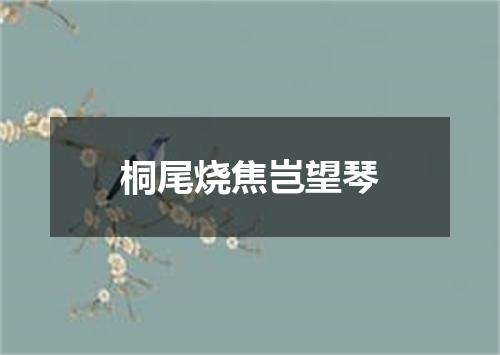 桐尾烧焦岂望琴
