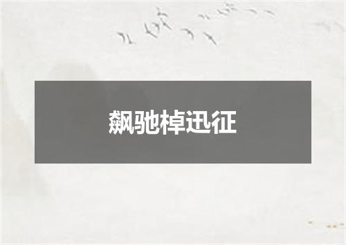 飙驰棹迅征