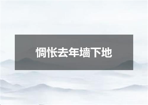 惆怅去年墙下地