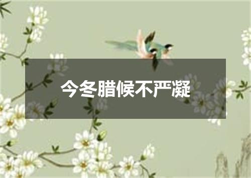 今冬腊候不严凝