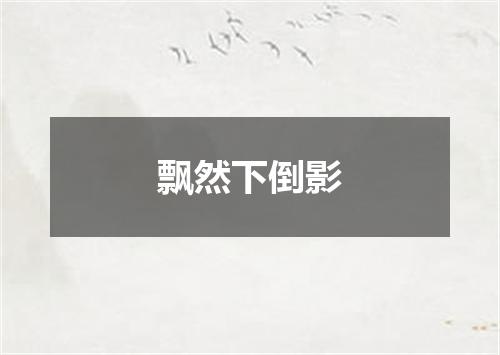 飘然下倒影