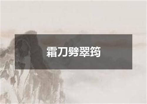 霜刀劈翠筠