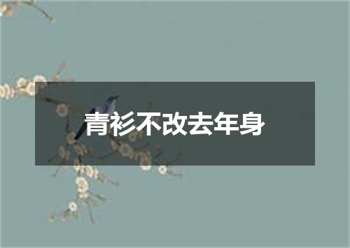 青衫不改去年身