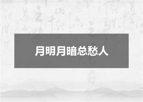 月明月暗总愁人