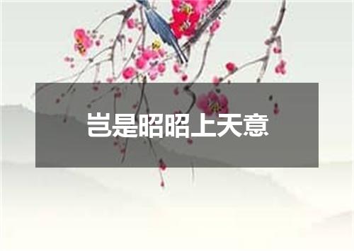 岂是昭昭上天意