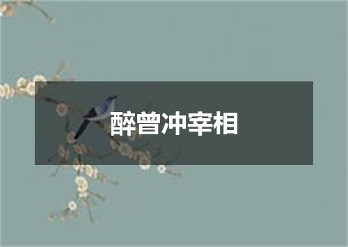 醉曾冲宰相