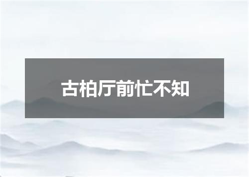 古柏厅前忙不知