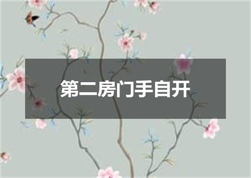 第二房门手自开