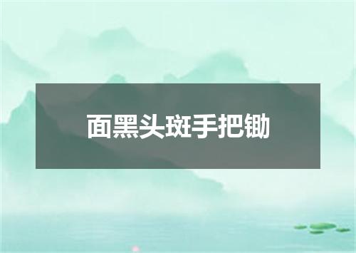 面黑头斑手把锄