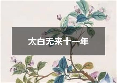 太白无来十一年