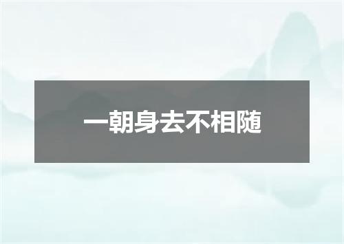 一朝身去不相随